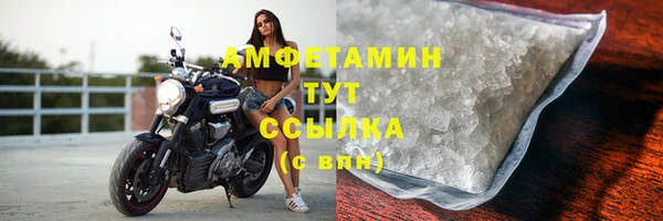 шишки Алексин