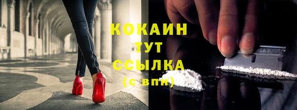 шишки Пролетарск