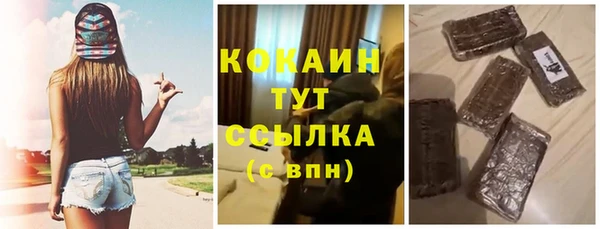 шишки Алексин