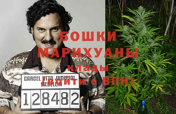 шишки Алексин