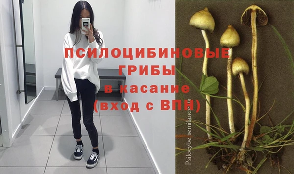 соль ск Алексеевка