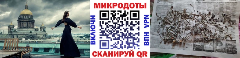 Псилоцибиновые грибы Psilocybe  купить наркоту  мега как войти  Медынь 